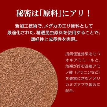メダカ元気 彩姫 成長用 ジェックス