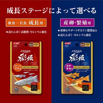 メダカ元気 彩姫 産卵・繁殖用 - ジェックス