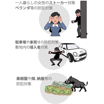 液晶画面付センサーカメラ リーベックス