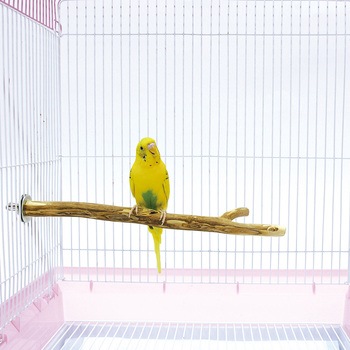 森の小枝 minimal LAND