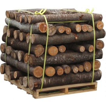 サクラ原木 50本 放射能検査済 - 森産業