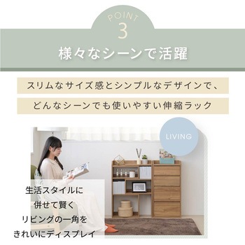 キッチンカウンター下収納 薄型 スライドラック 伸縮 オープンラック カウンター下収納