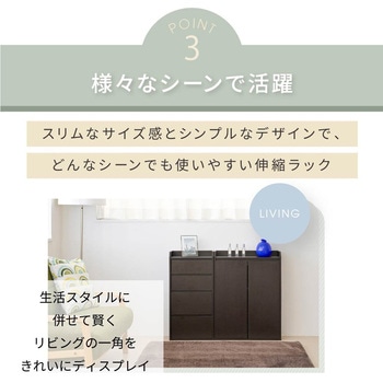 キッチンカウンター下収納 薄型 ミニキャビネット 両扉付き カウンター下収納
