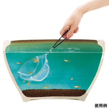 メダカの玉網 大 スドー