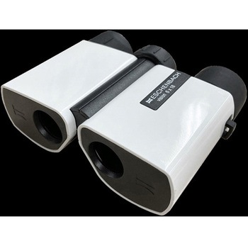 vision 6× エッシェンバッハ