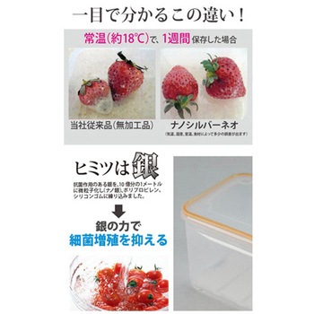 ナノシルバーネオ抗菌密閉容器 10点セット ツインズ