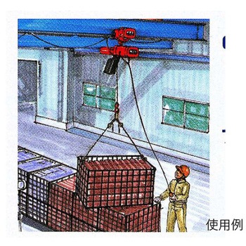 AC100V/250kg 5.0m 電動チェーンブロック エスコ