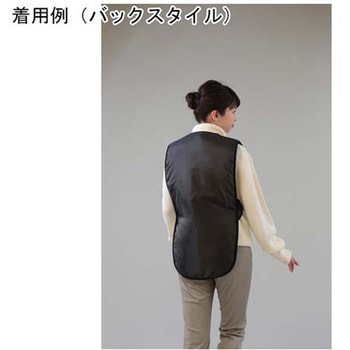 オーラ岩盤健康ベスト 極 アズワン