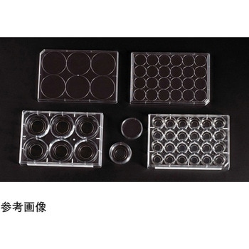 30×10mm ガラス底組織培養処理皿 15mmガラス 滅菌済み 50個入 Celltreat