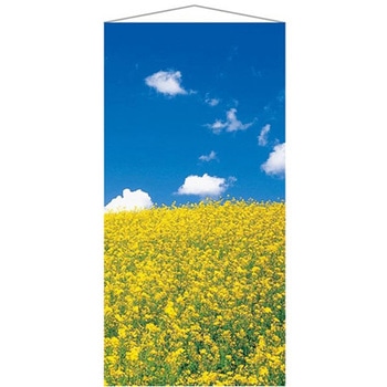 タペストリー 菜の花 90×180cm アズワン