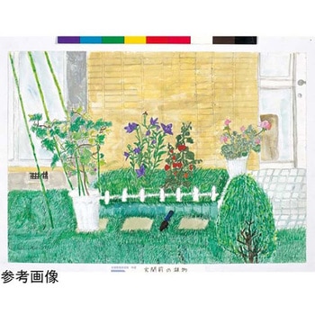 透明水彩12色 ラミネートチューブ 5mL - サクラクレパス