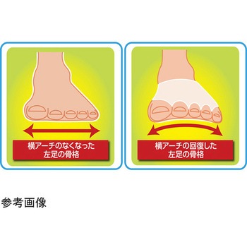 横アーチにアプローチ さわやか足楽サポーター 2足組 アズワン