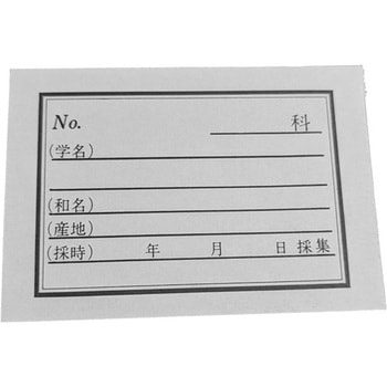 植物ラベル 50枚束 志賀昆虫普及社