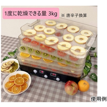 食品乾燥機 プチマレンギ スケルトン 東明テック