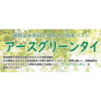 アースグリーンタイ 色：黒色 100本入り エスジー工業