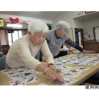 新日本トランプ - スマイルファクトリー