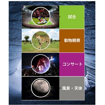 12×50 高倍率双眼鏡 - サイエルインターナショナル