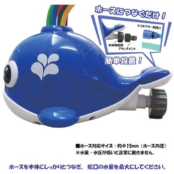 スプラッシュくじら ウィキャン