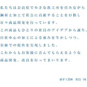 【オーダー】高所作業用ゴンドラ 植平工業