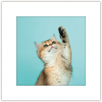 アートトワレ ねこ アートトワレ