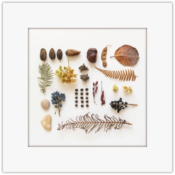 アートトワレ ネイチャークラフト - アートトワレ