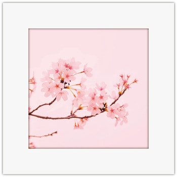 アートトワレ 桜 - アートトワレ