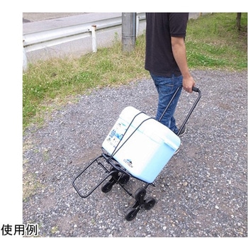 ラクラク三輪カート 6台入 アルミス