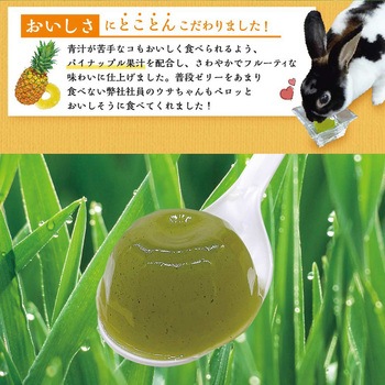 小動物の青汁ゼリー パイナップル果汁入り 1袋 16g×6個 ドギーマン