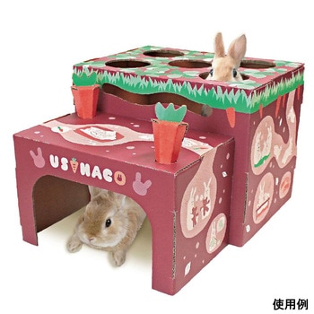 ウサハコ にんじん畑 - ドギーマン