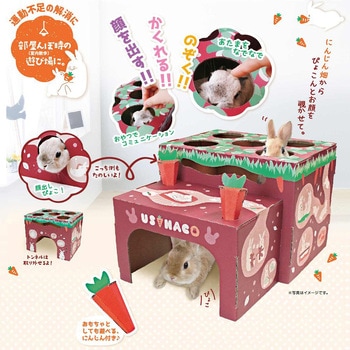 ウサハコ にんじん畑 - ドギーマン