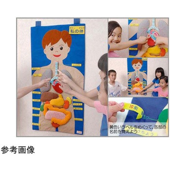 タペストリー わたしの体 アズワン