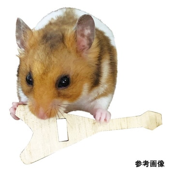 かじりギター!エレ木 4本 1パック 4本 マルカン