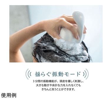 シャンプーブラシ AWANIST アデランス
