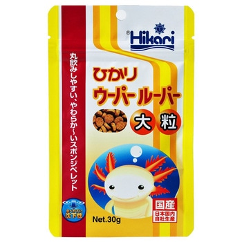 ひかり ウーパールーパー 大粒 30g キョーリン