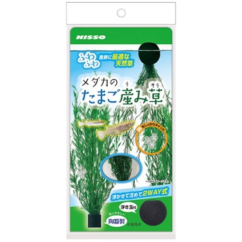 メダカのたまご産み草 マルカン ニッソー