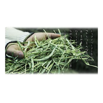 牧草市場 スーパープレミアムチモシー 1番刈り 800g マペット