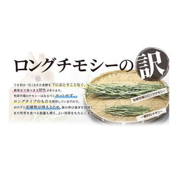牧草市場 スーパープレミアムチモシー 1番刈り 800g マペット