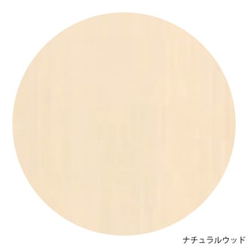 多目的吊戸棚 奥行390タイプ 900×300×400mm TCM2-90Dシリーズ イースタン工業