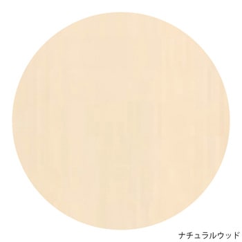 シューズボックス FUIIシリーズ・フロアユニット 右吊元のみ 600×400×924mm FU2-45シリーズ イースタン工業