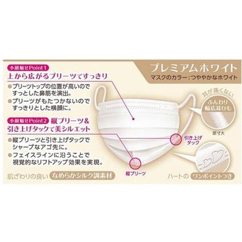 ビースタイル プリーツタイプ ふつうサイズ 白元アース