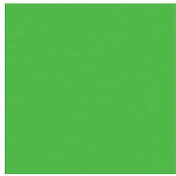 ニューカラーボード 蛍光グリーン 5mm厚 B2判 素板 BP-5CB-B2-FG バラ売り トレード