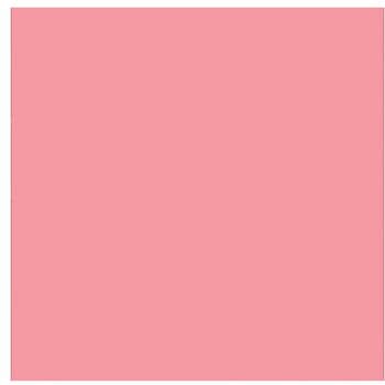 ニューカラーボード コーラルピンク 5mm厚 B1判 素板 BP-5CB-B1-CP バラ売り トレード