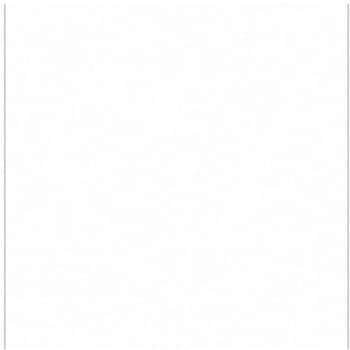ニューカラーボード ホワイト 5mm厚 3X6判 素板 BP-5CB-3X6-WH バラ売り トレード