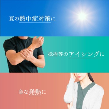 氷のう 植物柄 ブラック ベルト付き 1ケース 10個入 TOBIEMON