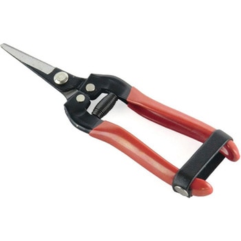 摘果鋏 ウィキャン