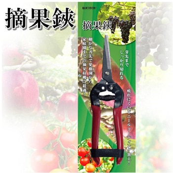 摘果鋏 ウィキャン