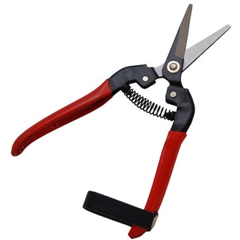 摘果鋏 ウィキャン