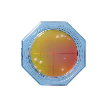 クリーンスタンプ(R)10 1箱 島津ダイアグノスティクス