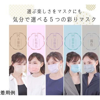 極 KIWAMI マスク アソートパック 紅梅色/錫色/京藤色/翡翠色/木蘭色セット ふつうサイズ 5枚×120袋入 前田工繊