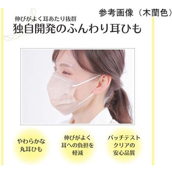 極 KIWAMI マスク アソートパック 紅梅色/錫色/京藤色/翡翠色/木蘭色セット ふつうサイズ 5枚×120袋入 前田工繊